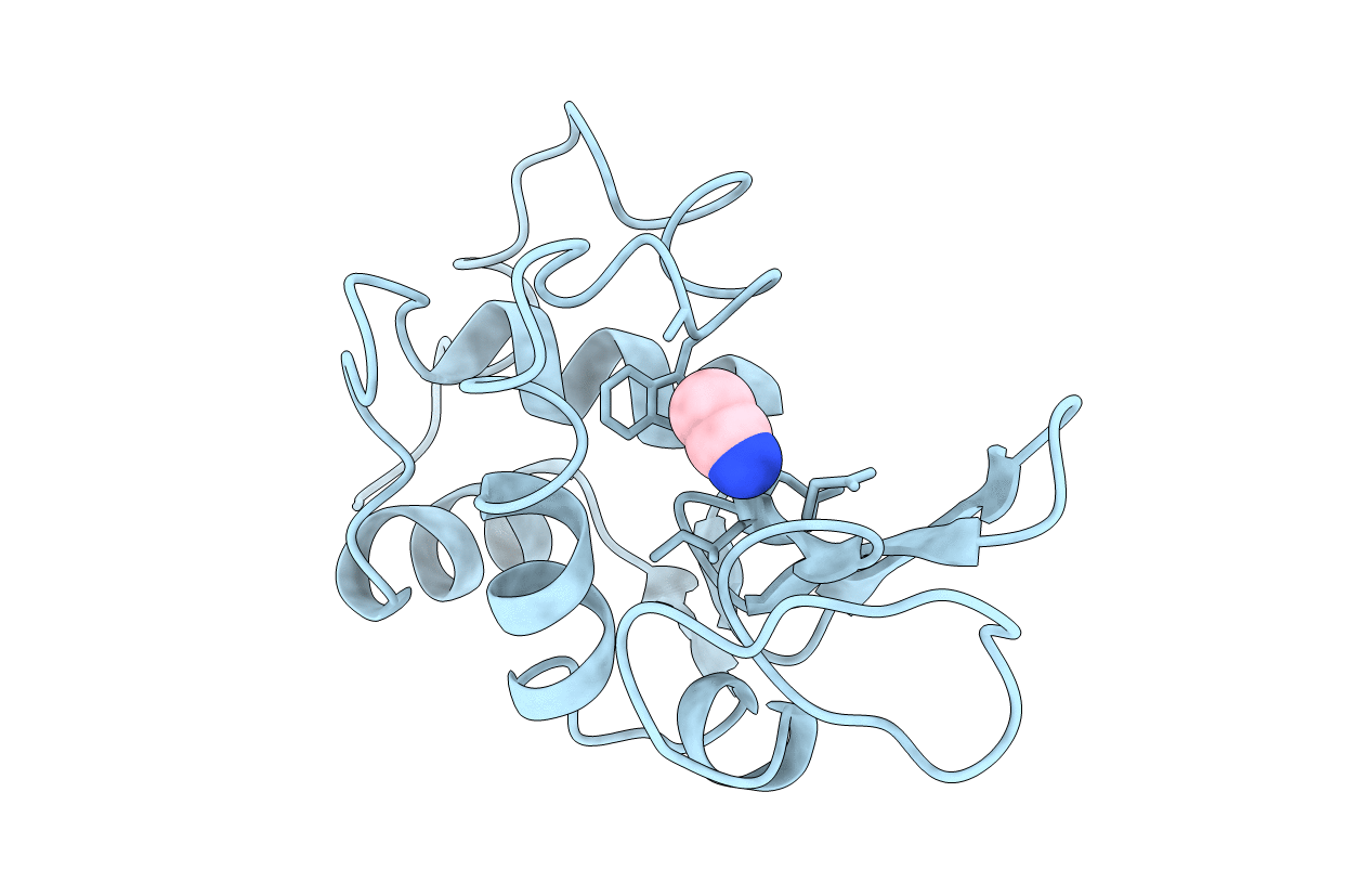 2LYO image