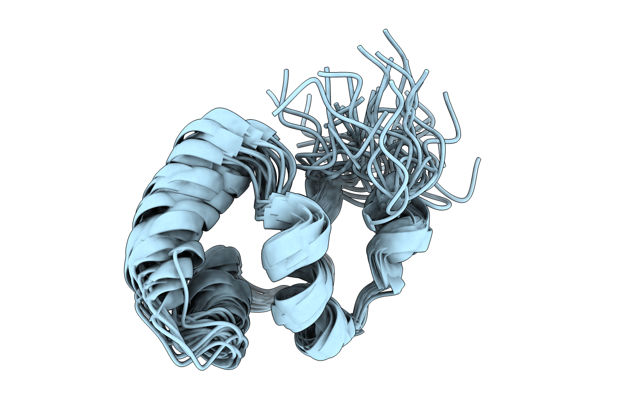2LYR image