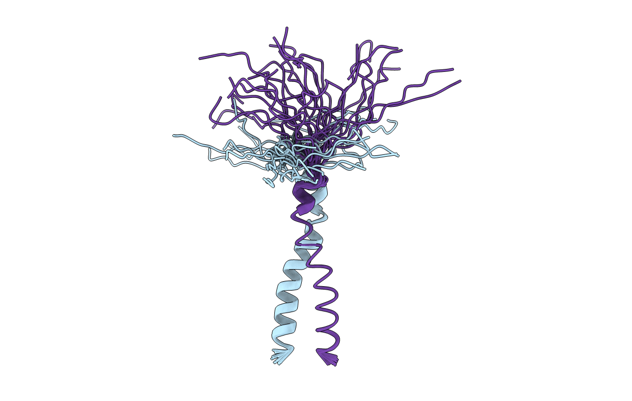 2LZL image
