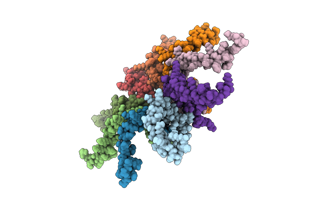 2LZS image