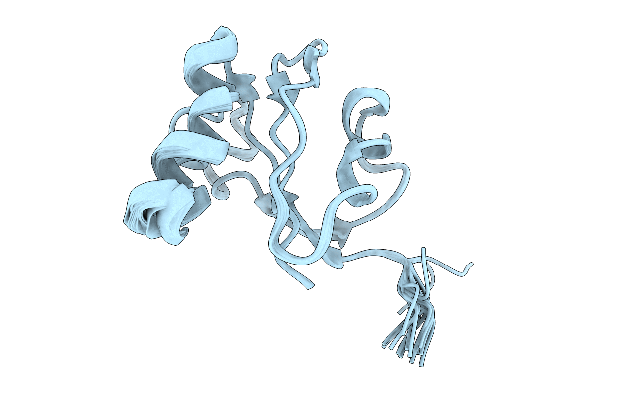 2M08 image