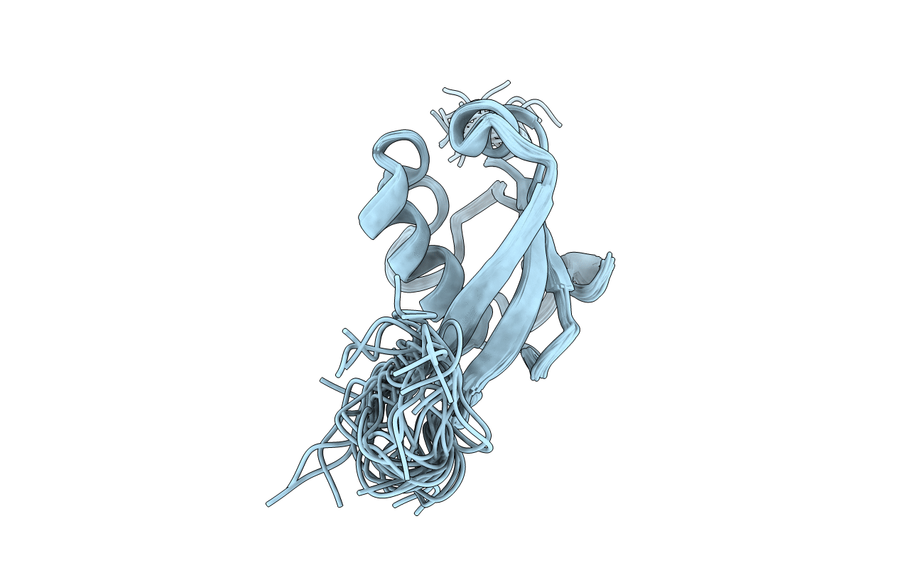 2M19 image