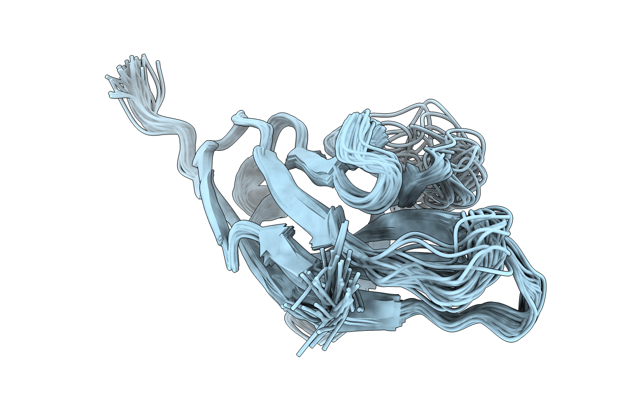 2M2D image