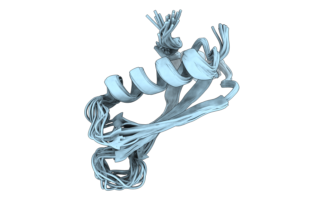 2M2J image