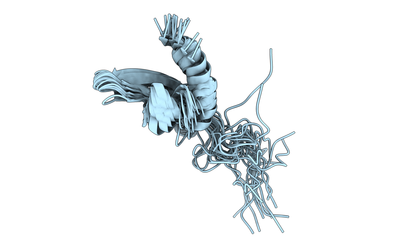 2M2L image