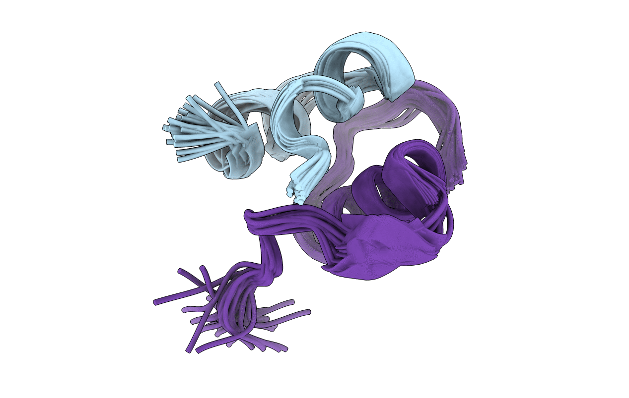 2M2N image