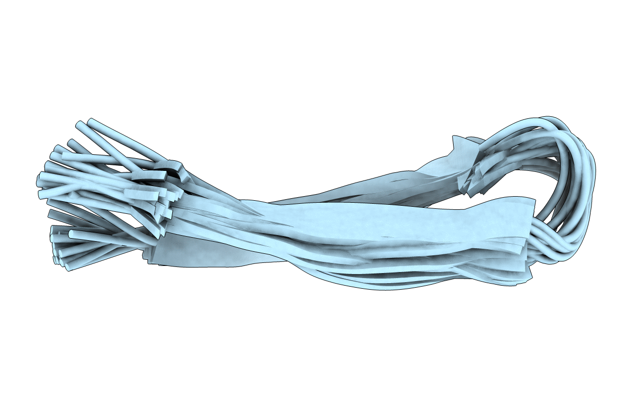 2M2S image