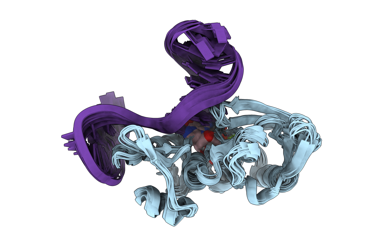 2M2W image