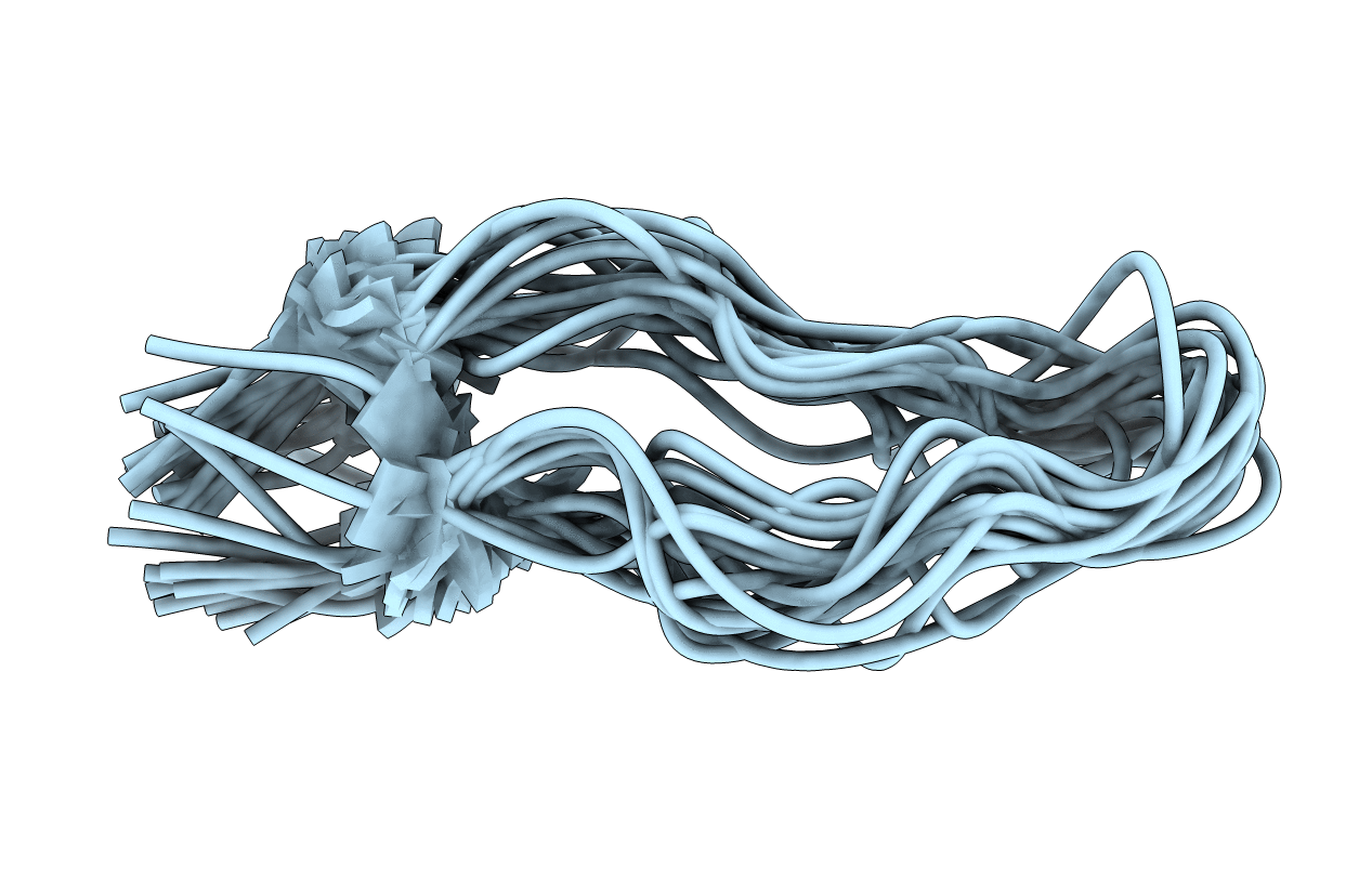 2M2X image