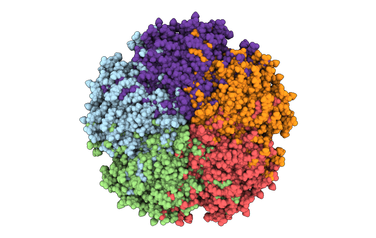 2M3B image