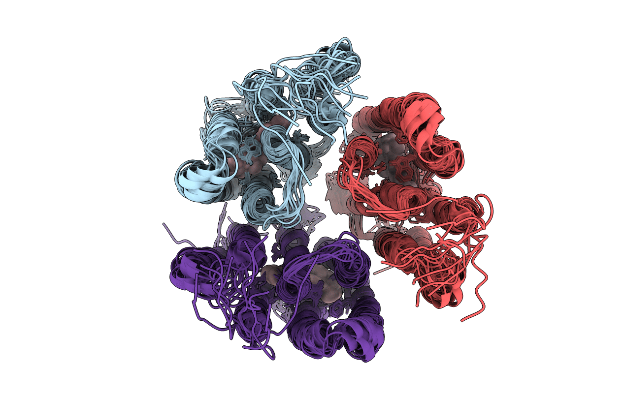 2M3G image