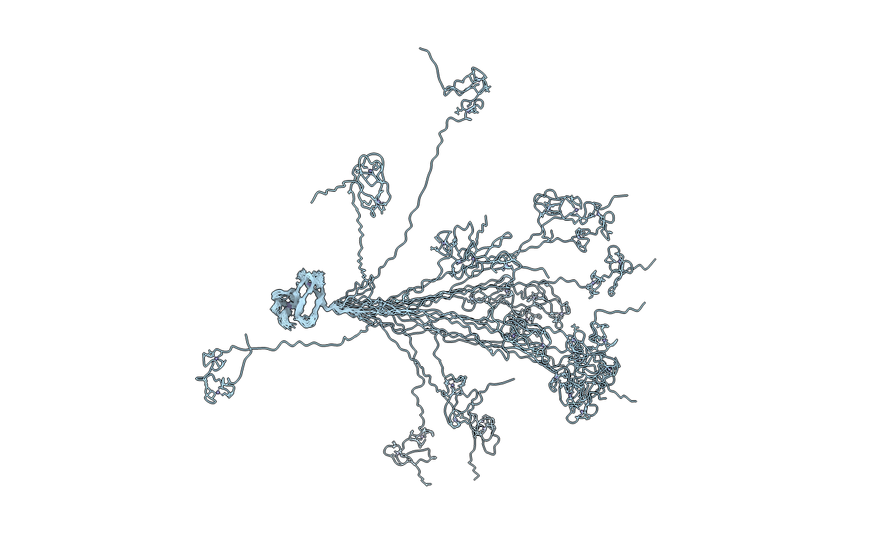 2M48 image