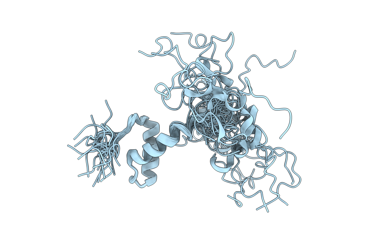 2M4G image