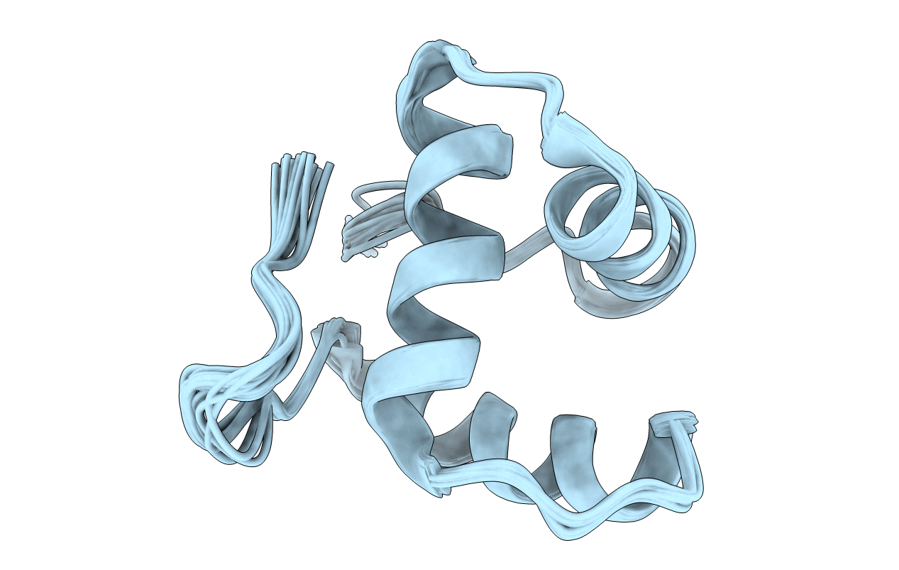 2M4H image