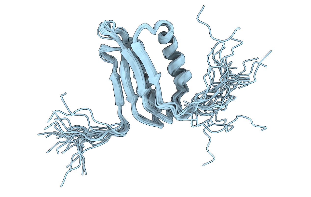 2M4I image