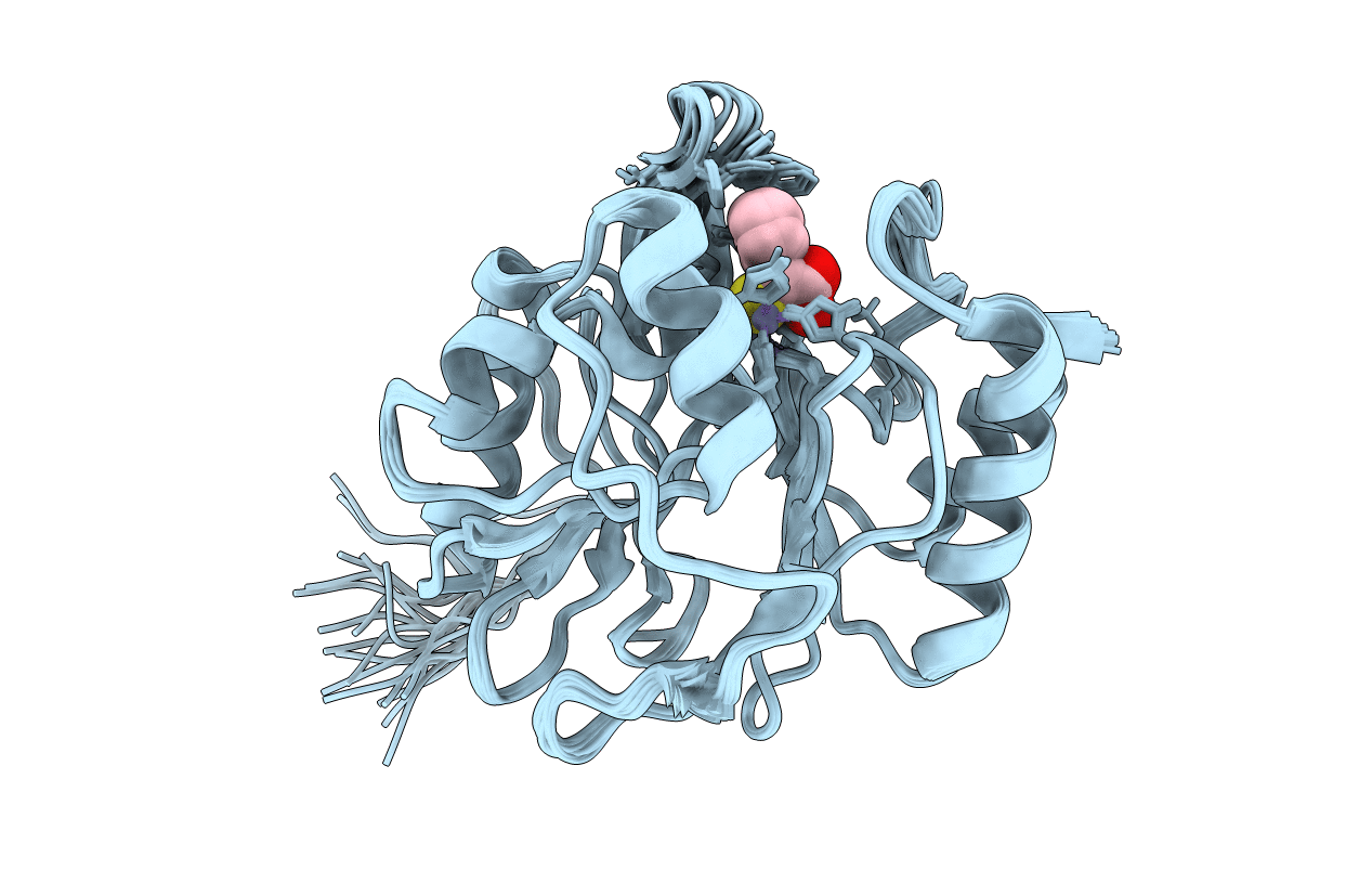 2M5D image