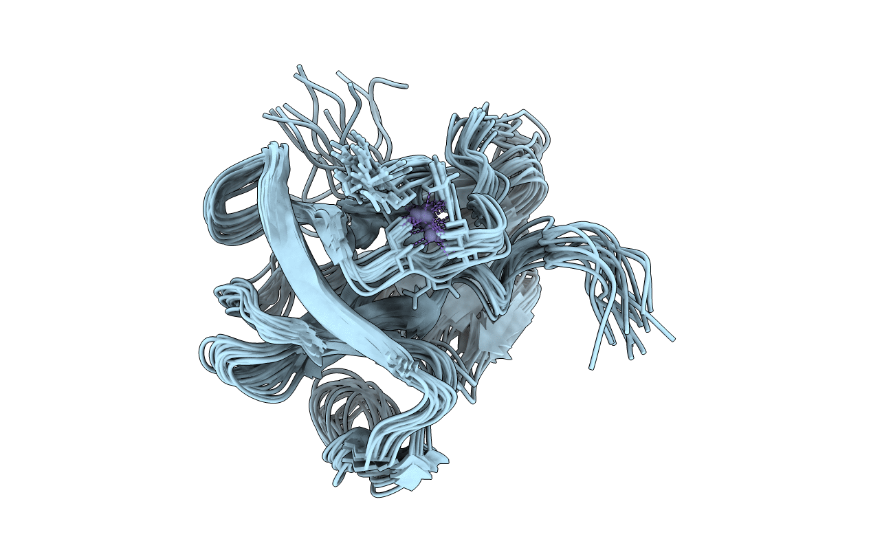 2M5T image