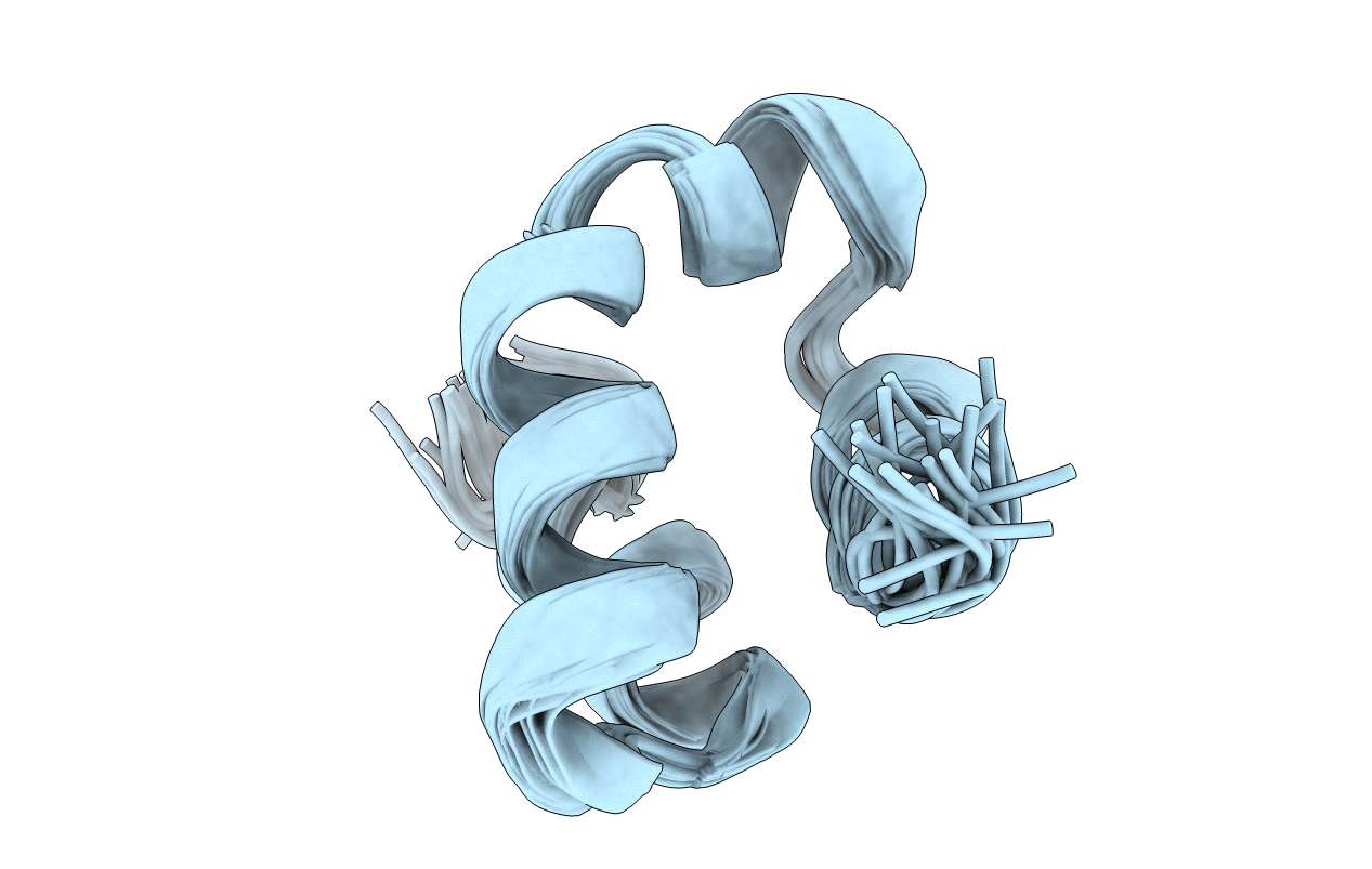 2M60 image