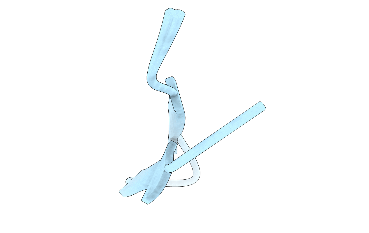 2M62 image