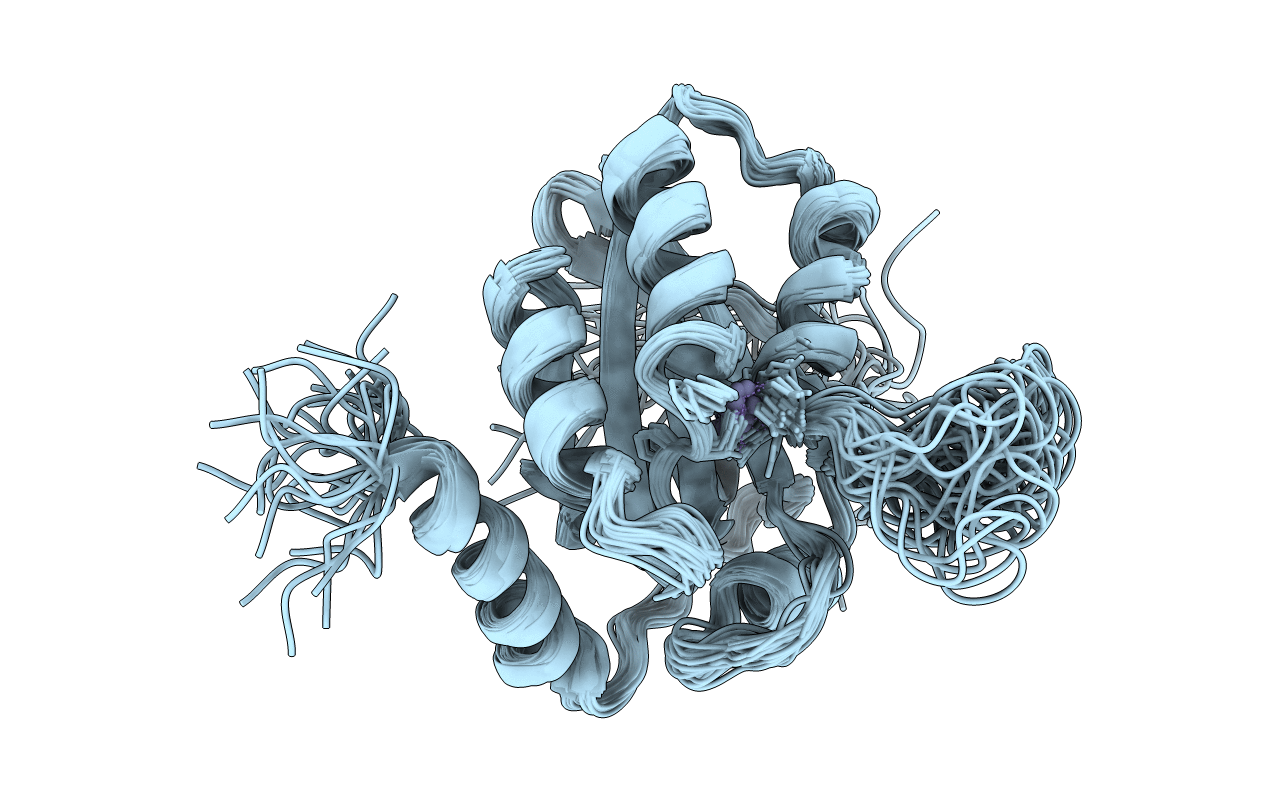 2M65 image