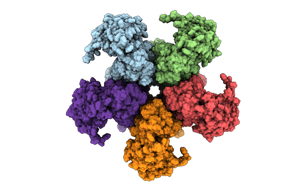 2M6I image