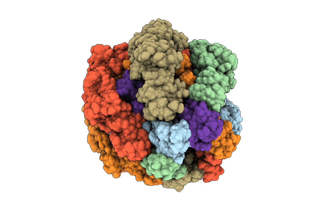 2M6X image
