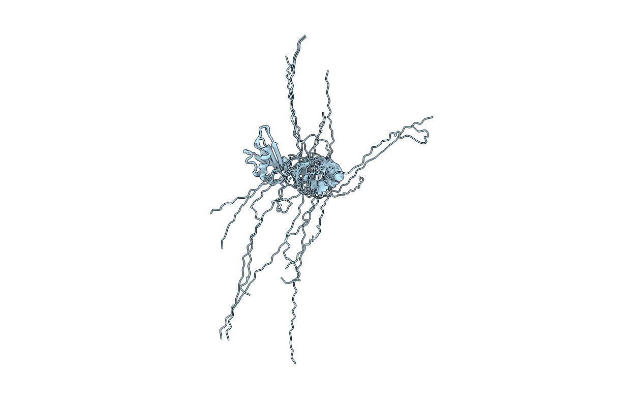 2M70 image