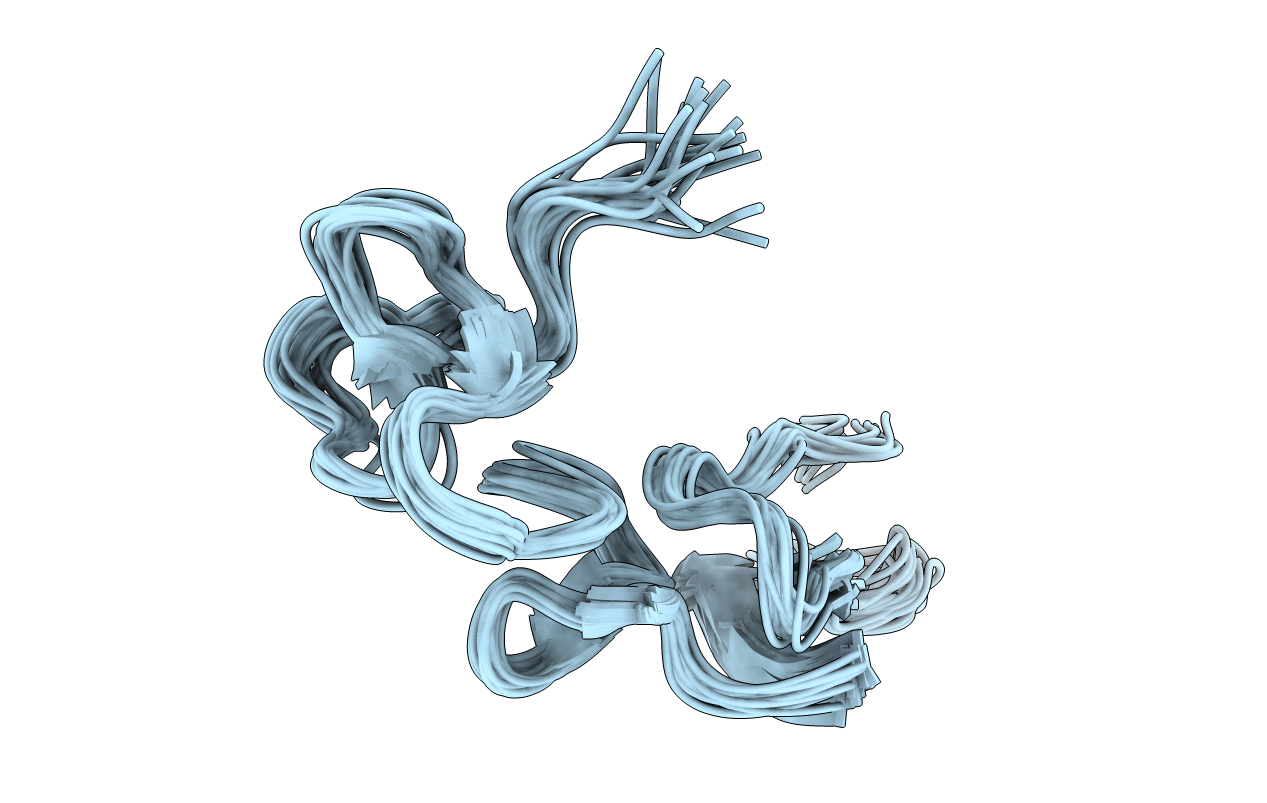 2m75 image