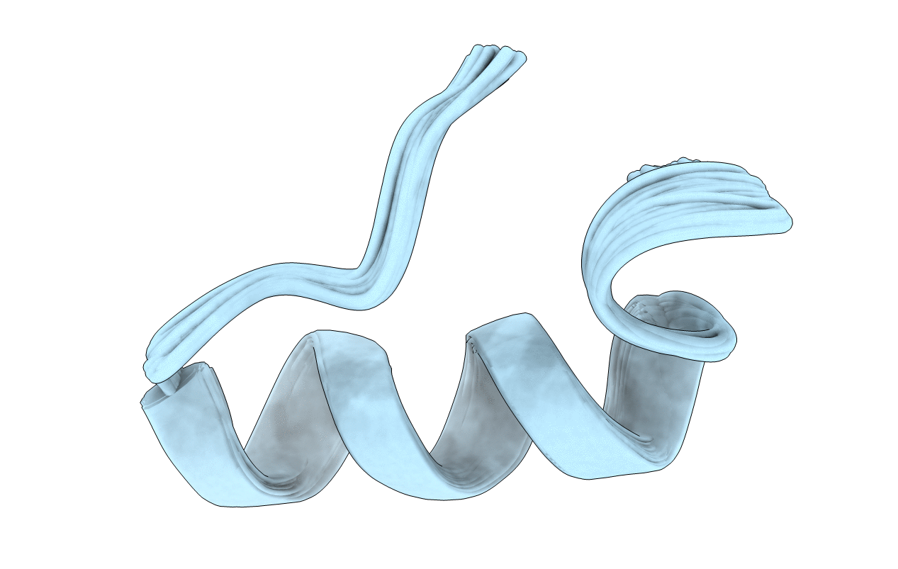 2M7C image