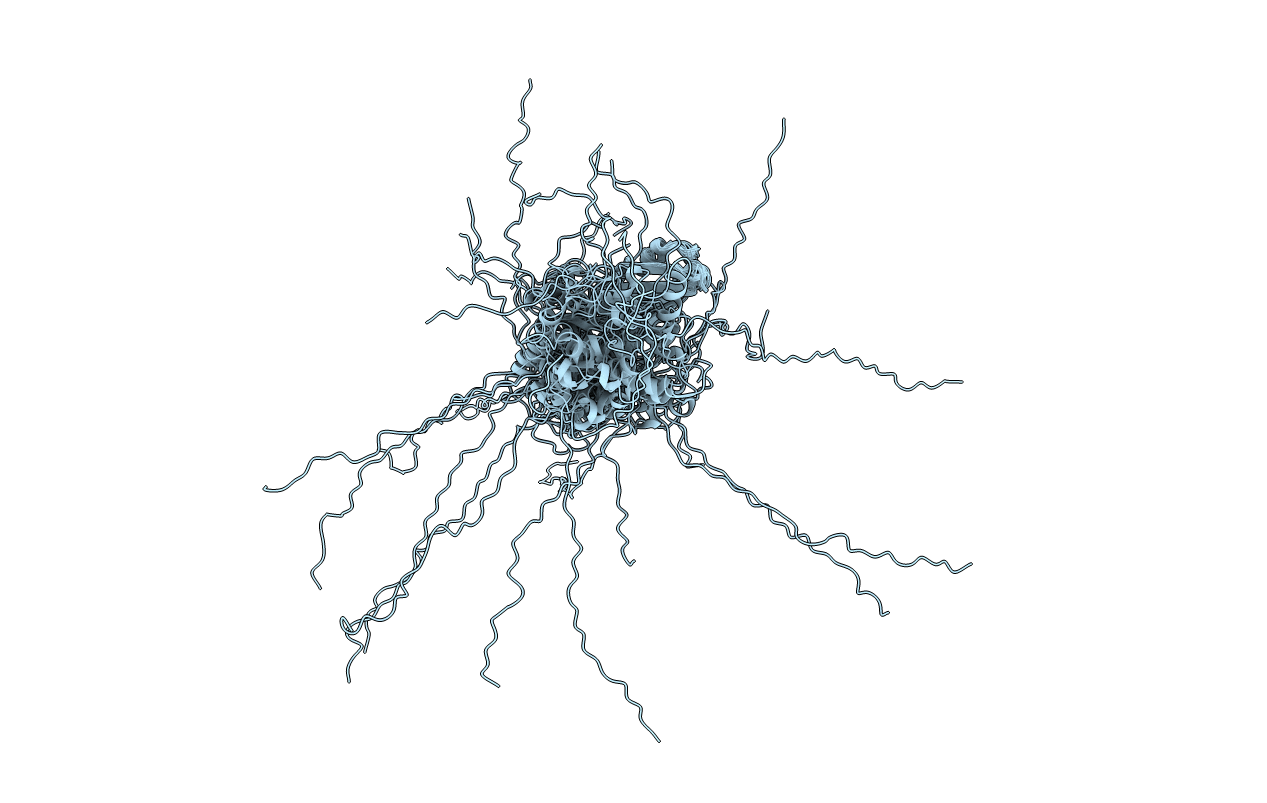 2M88 image