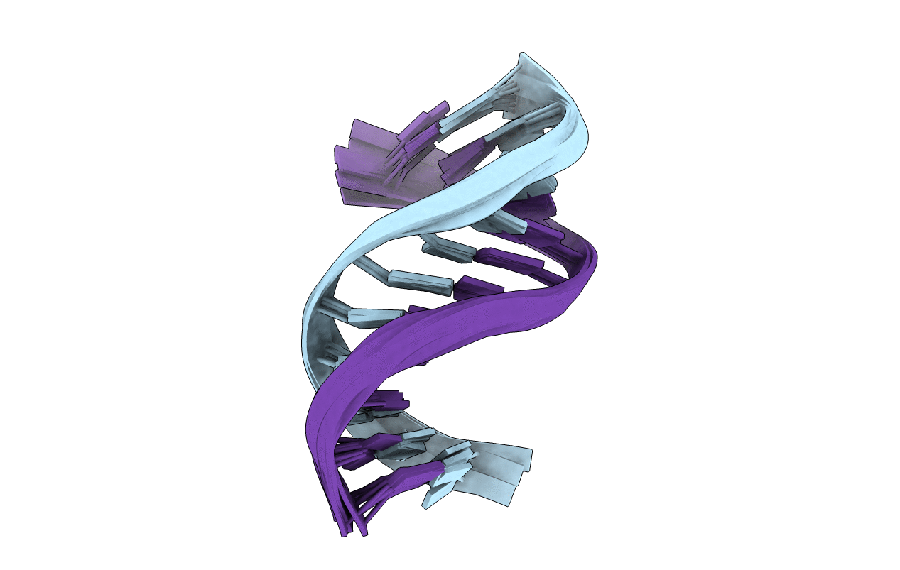 2M8A image