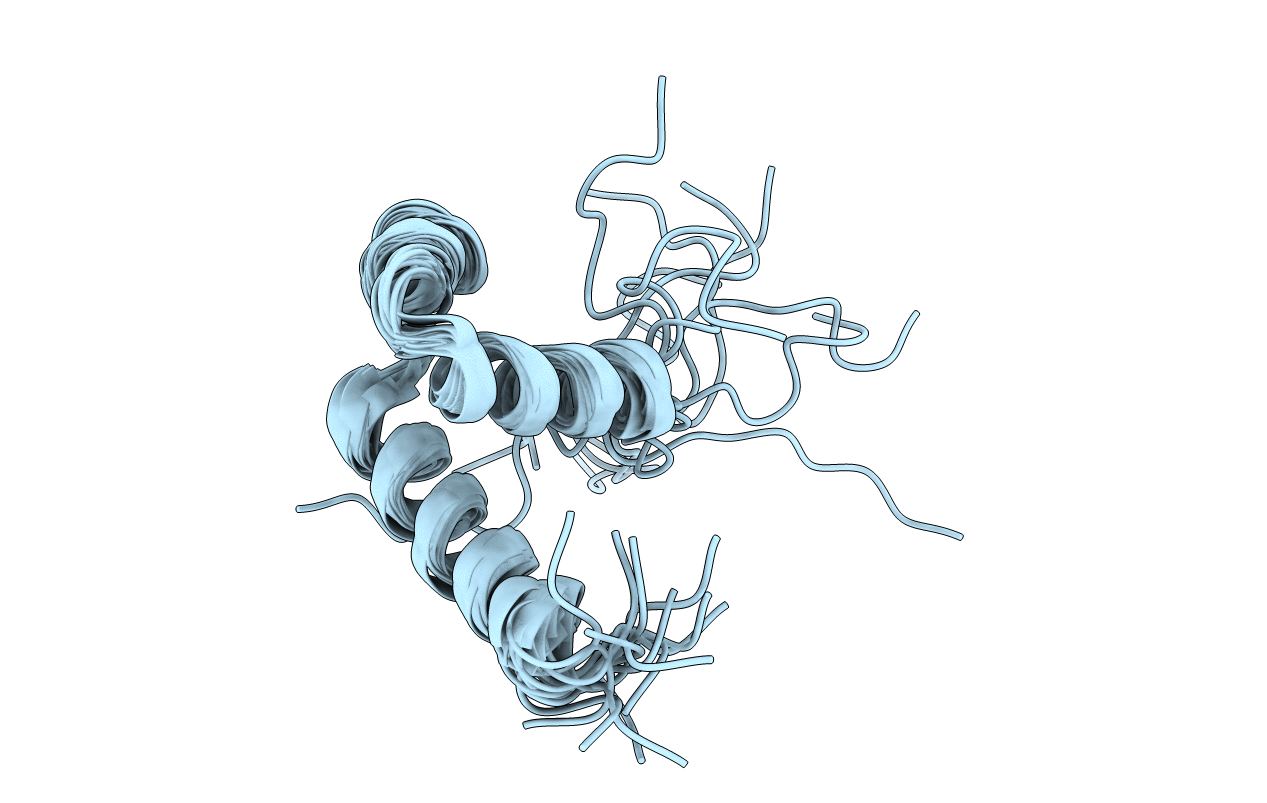 2M8E image
