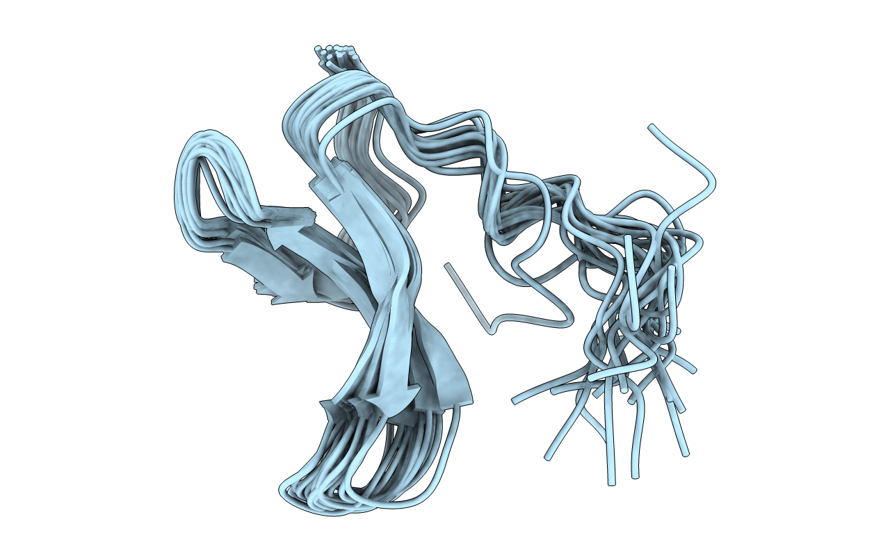 2M8I image