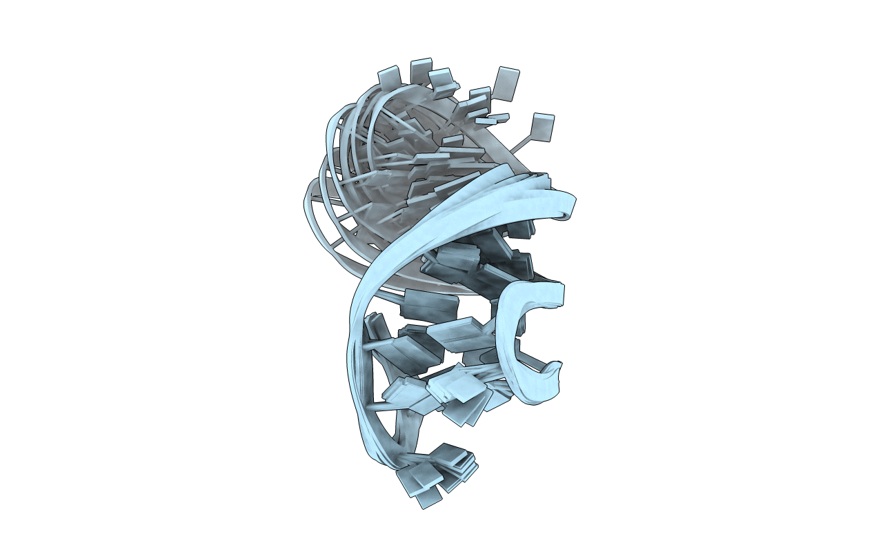 2M8Z image