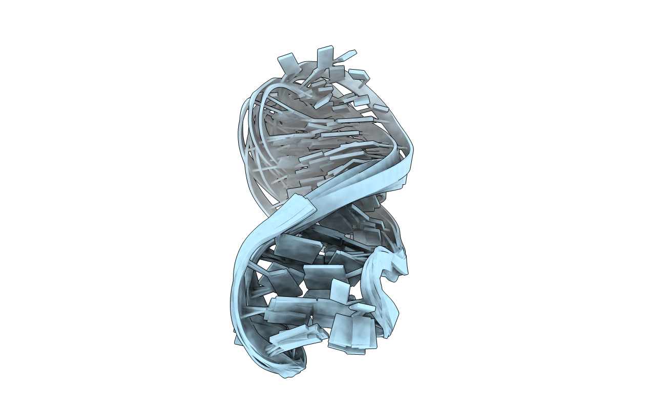 2M91 image