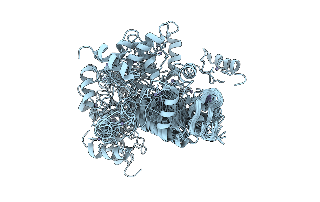 2M9A image