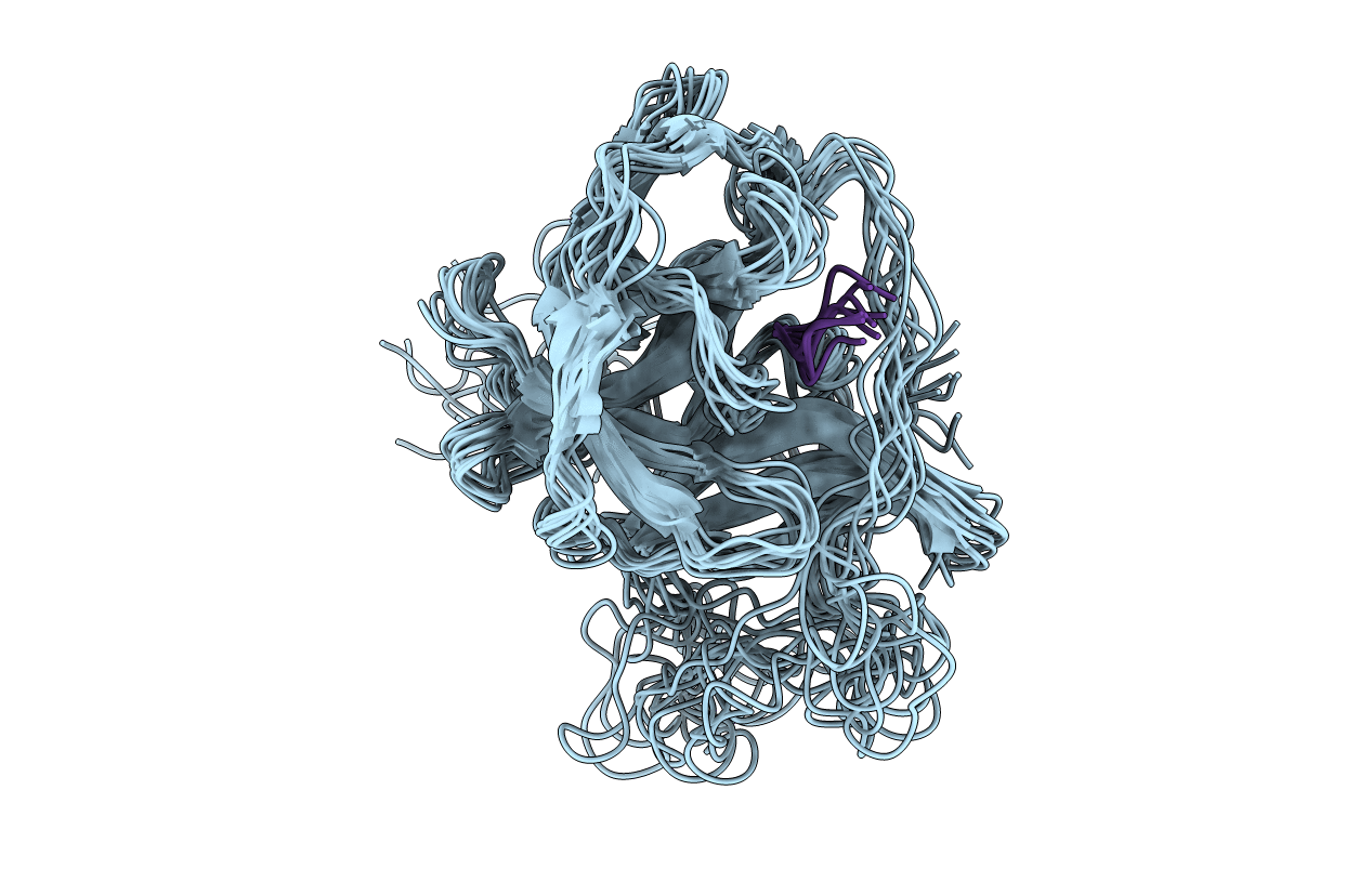 2M9P image