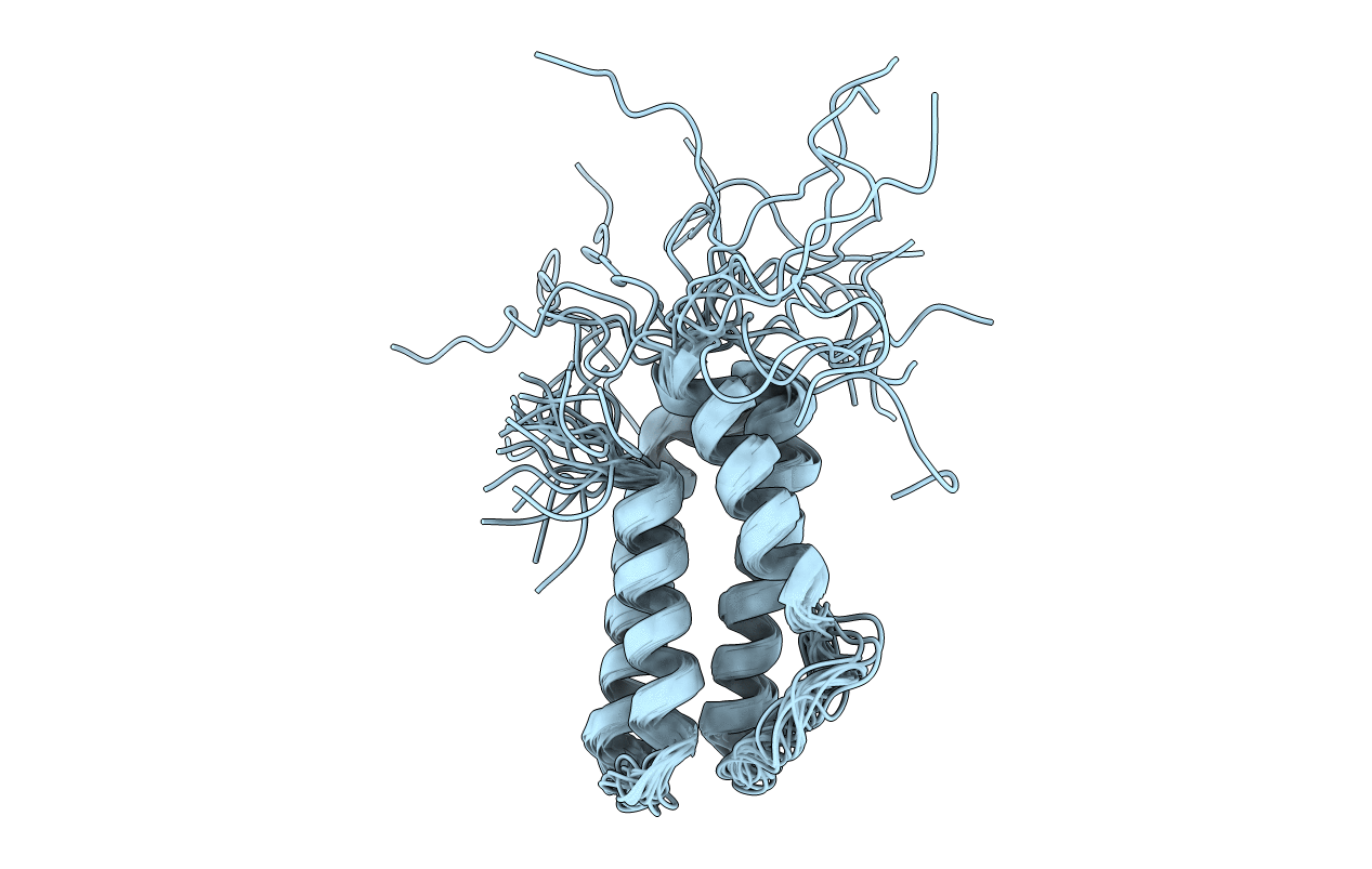 2M9X image