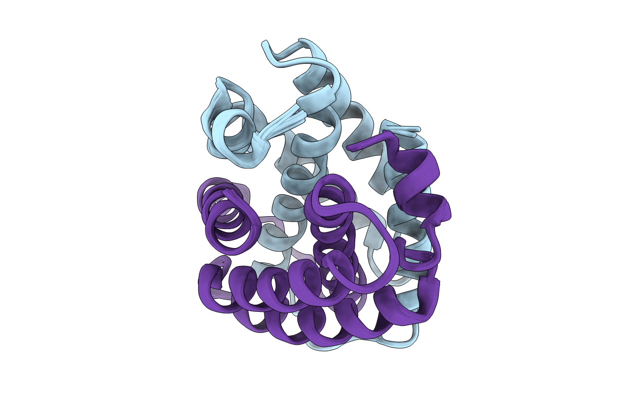 2MAB image