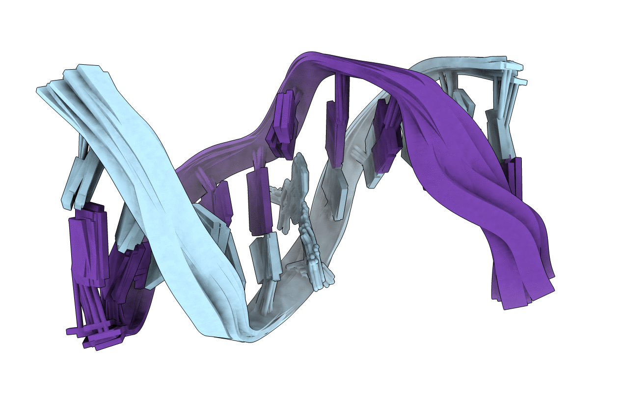 2MAV image