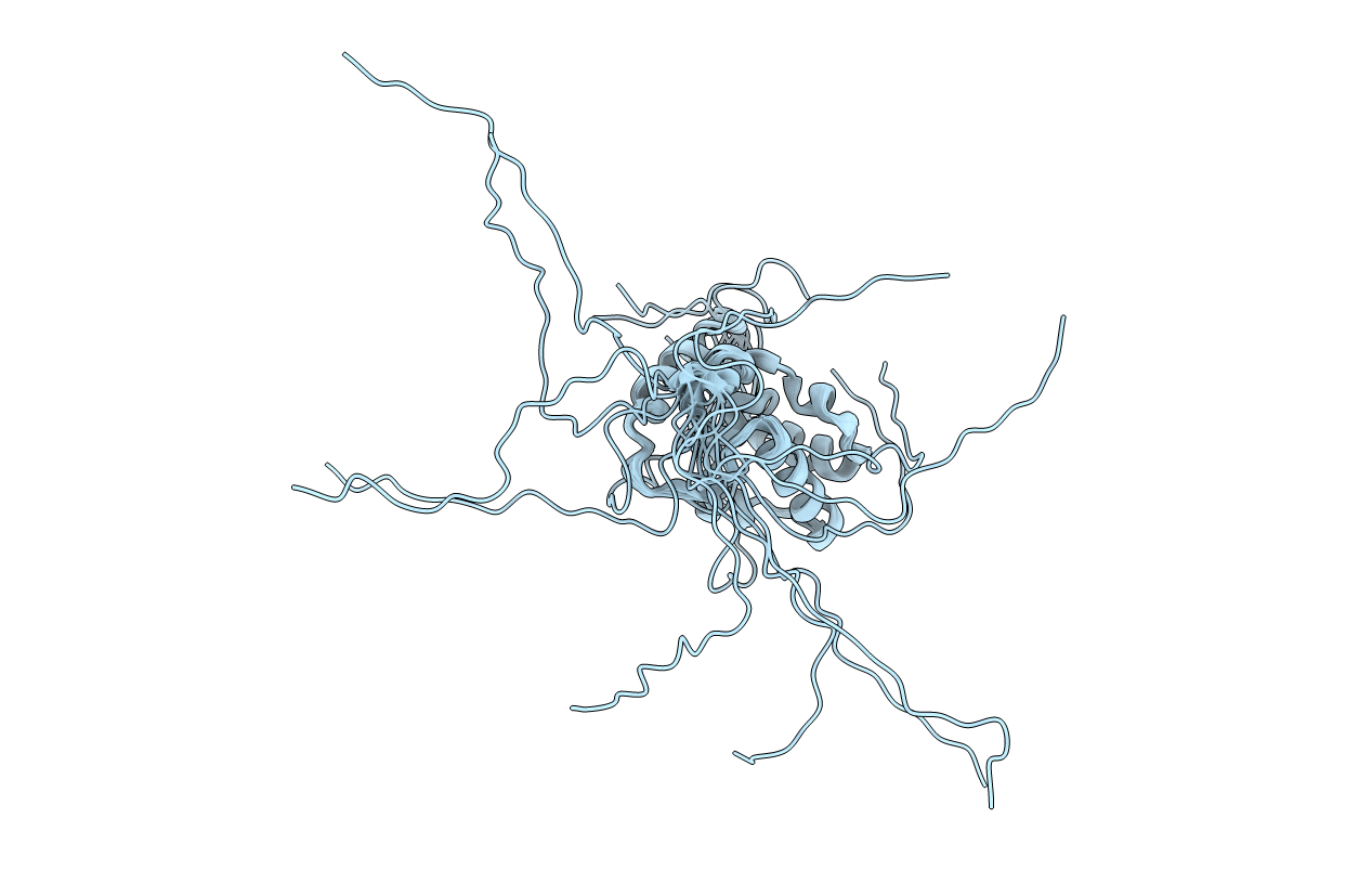 2MAX image