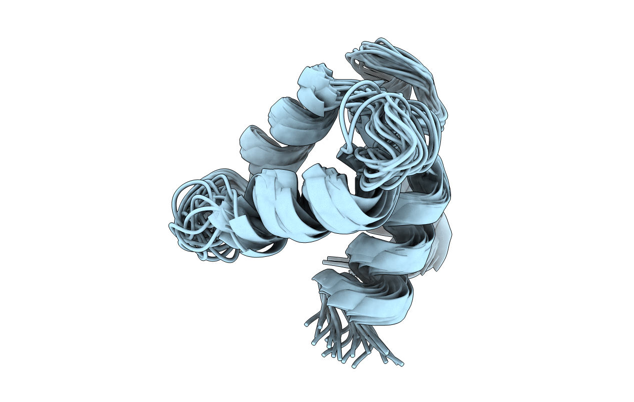 2MAZ image