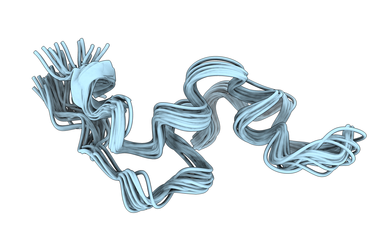 2MB1 image