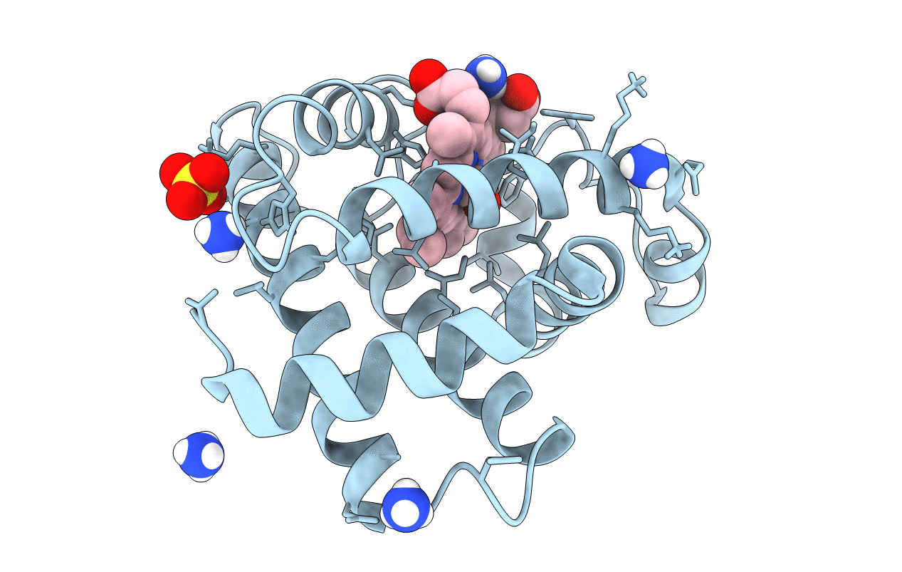 2MB5 image
