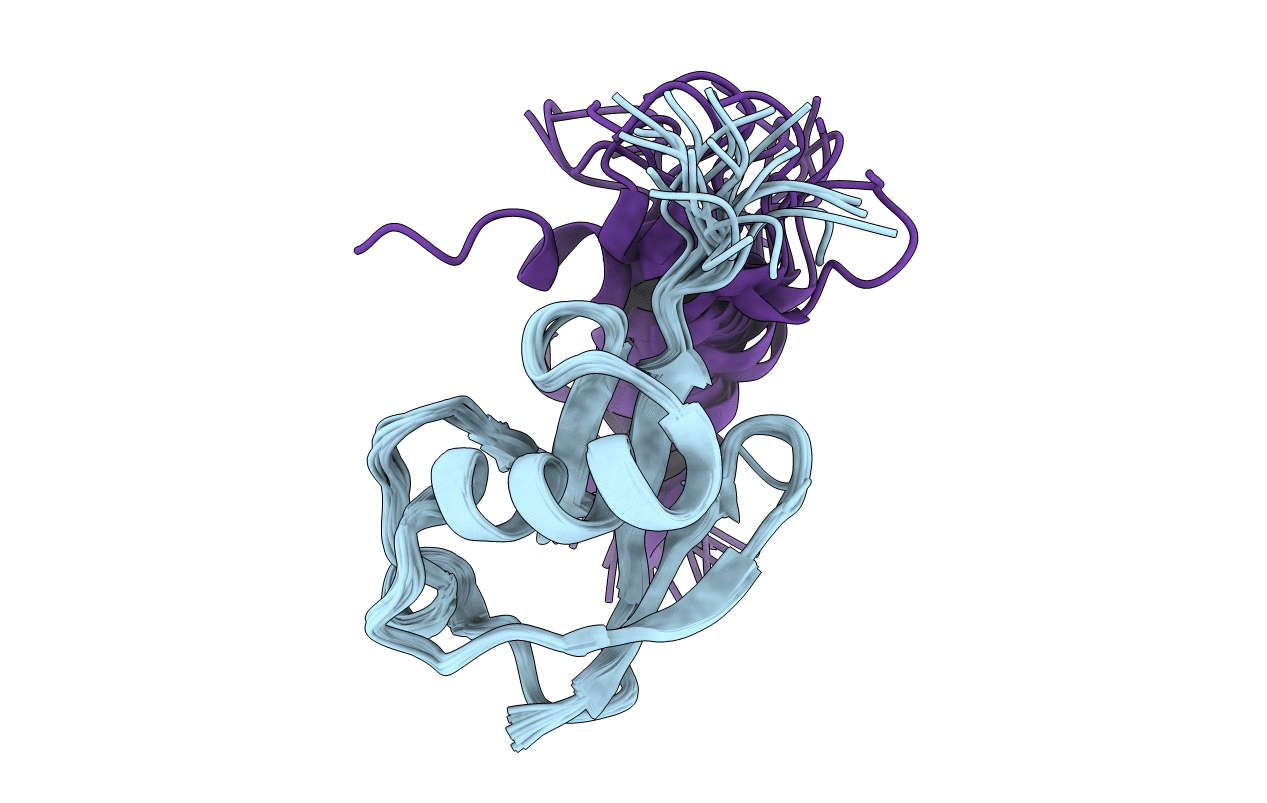 2MBH image