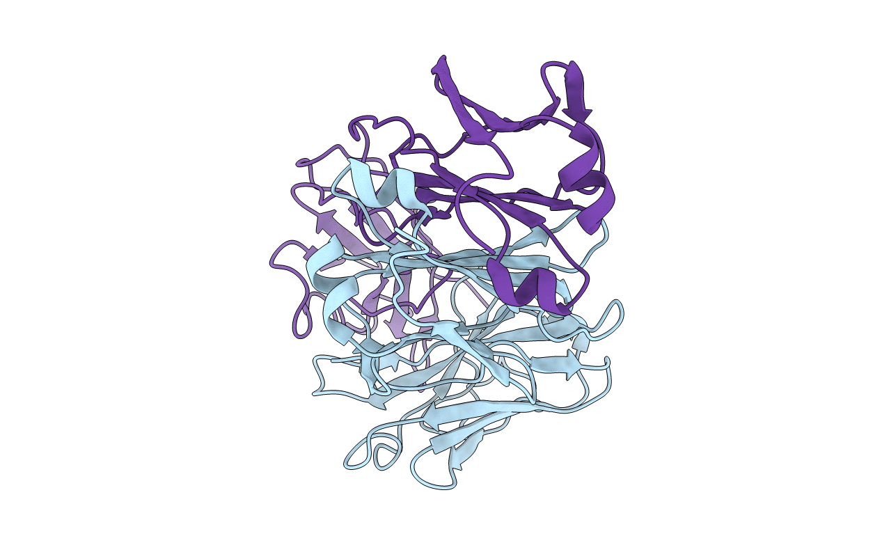 2MCG image
