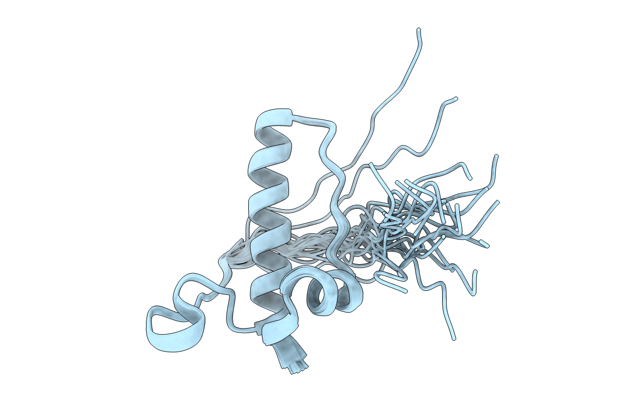 2MCK image