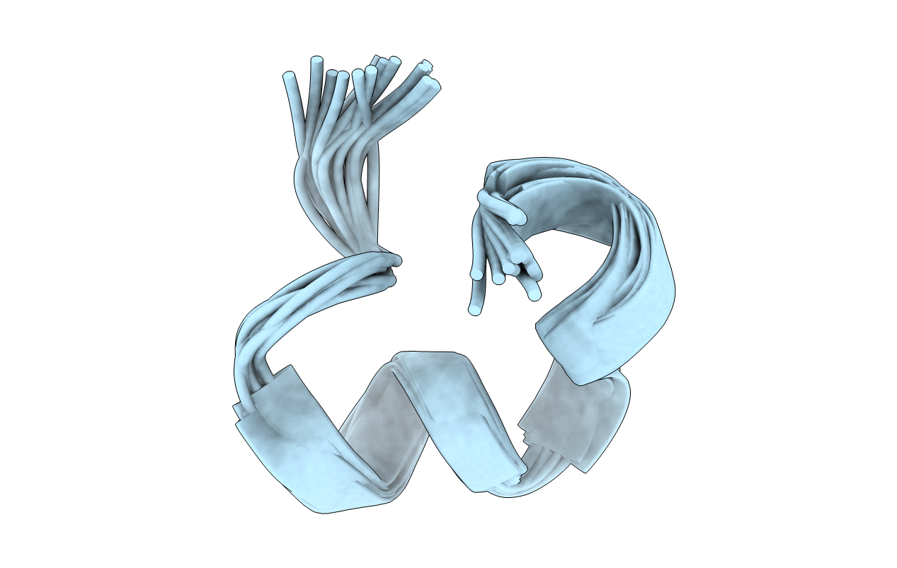 2MD6 image