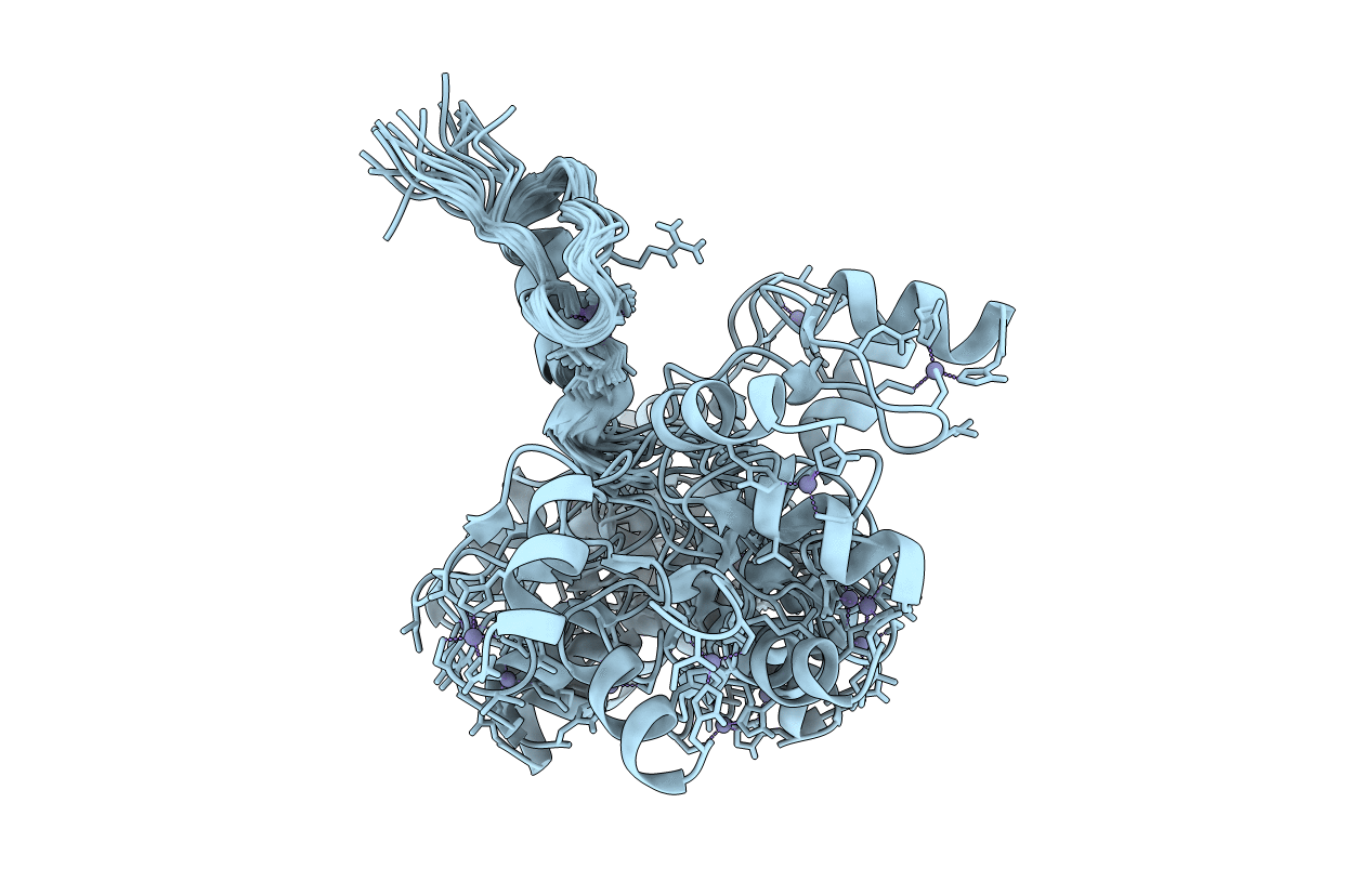 2MDG image