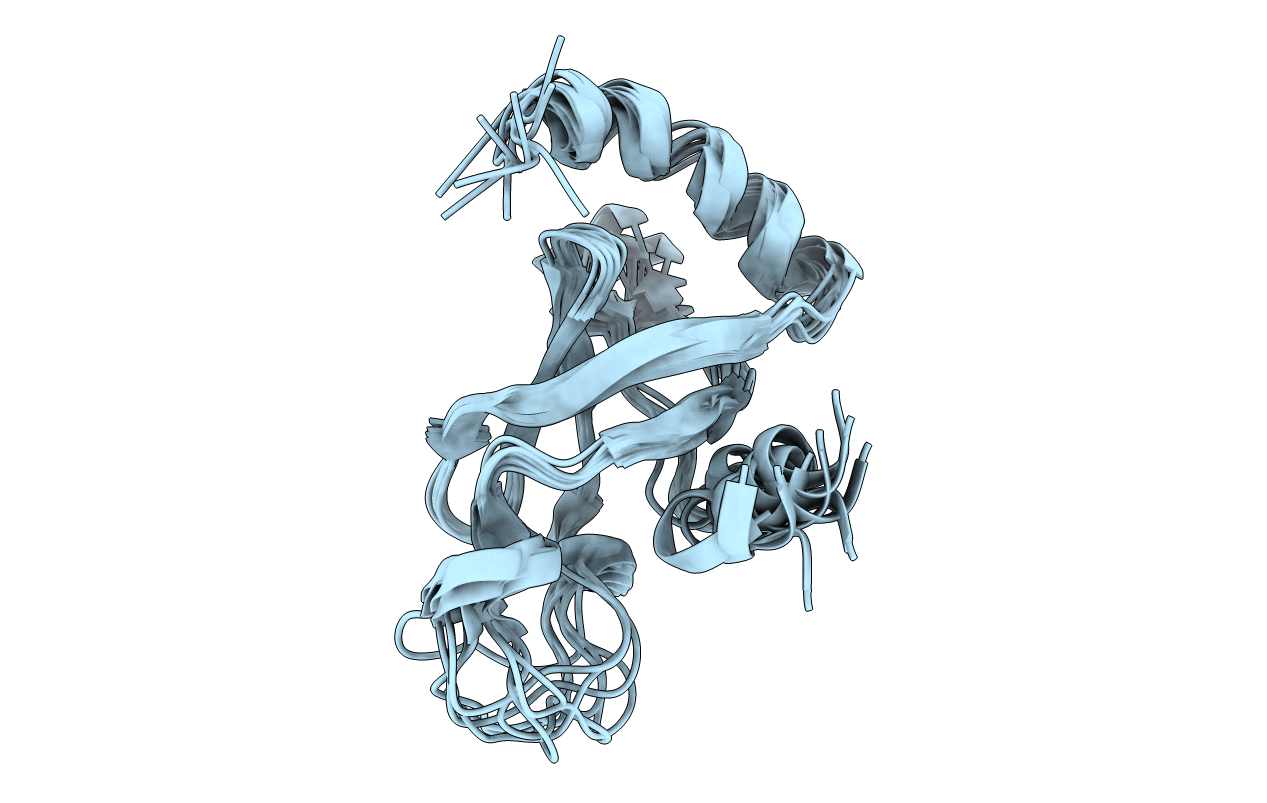 2MFL image